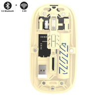 Souris transparente sans fil Bluetooth double mode, rechargeable, silencieuse, pour tablette, ordinateur portable, bureau, jeux