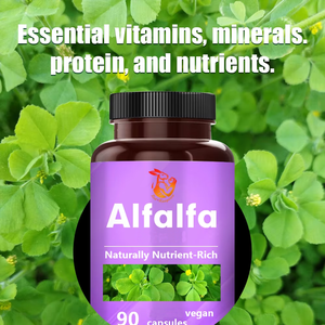 Cápsulas de Alfalfa Premium, Suplemento de Vitaminas y Minerales para el Cuidado de la Salud, Cápsulas de Apoyo Inmunológico - Product Image 6