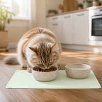 Tapis d'alimentation pour animaux de compagnie en silicone de qualité alimentaire, résistant aux morsures, inodore, avec empreintes de pattes, rebord surélevé, anti-fuite, facile à nettoyer, pour chiens et chats