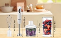 Mini mélangeur à main électrique portable à commande manuelle avec caractéristiques durables