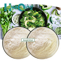 Cosmetische En Food Grade Biologische Avocado Fruit Extract Poeder 100% Natuurlijke Avocado Sap Poeder
