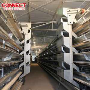 Büyüyen pil yetiştirme için tavuk <span class=keywords><strong>Coop</strong></span> kümes hayvancılığı için komple otomatik hayvancılık hayvan kafes sistemi katmanlı tavuklar yeni - Product Image 5