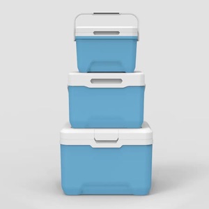 Nevera portátil PP Insulin Accept Set de 6L, 13L, 22L con asa y tapa, aislada para <span class=keywords><strong>camping</strong></span>, picnic, playa, pesca y bebidas - Product Image 1