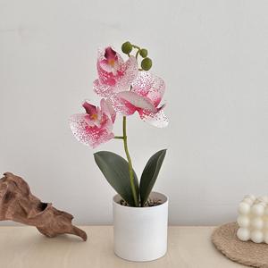KX-01 bas prix vraie touche multicolore petite soie Fuax Phalaenopsis orchidées plante en Pot blanc fleur d'<span class=keywords><strong>orchidée</strong></span> artificielle en pot - Product Image 6