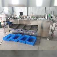 Sinaasappels Citroen Granaatappel Mango Sorteermachine Sorteermachine Aardappelroller Sorteermachine