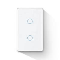 Interruttore Luce Smart Touch a 2 Gang Standard USA, WiFi Zigbee, Controllo App Tuya Smart Life, Interruttore a Parete 110V 220V