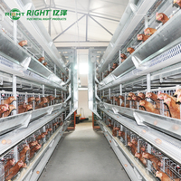 Cage de démarrage de type A pour 1000 oiseaux, Tanzanie, 3 niveaux, alimentation manuelle, cage à volailles, prix bas, acier galvanisé à chaud