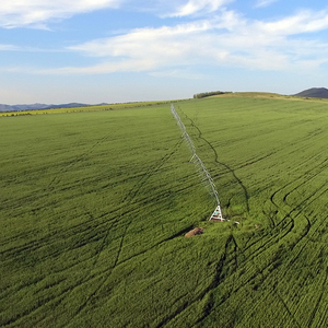 Hệ thống <span class=keywords><strong>2025</strong></span> thủy lợi trung tâm hệ thống thủy lợi trục với <span class=keywords><strong>sprinkler</strong></span> - Product Image 4