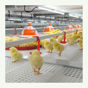 Nouveau modèle de cages à poulet Cage pour volaille Cages pour poules pondeuses/poulets de chair pour l'élevage de poulets - Product Image 5