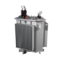 Transformateur de puissance triphasé immergé dans l'huile à triple enroulement Wanbo WB-16 pour haute tension de distribution