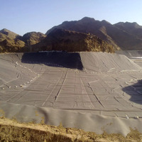 Tissu géotextile non tissé résistant aux UV pour la protection des revêtements de réservoirs, le drainage des décharges et le contrôle de l'érosion côtière