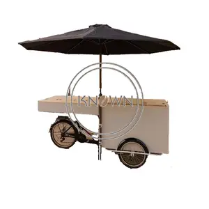 Tricycle électrique OEM avec congélateur à trois roues, pour réfrigérateur, crème glacée, bicyclette, café, whisky