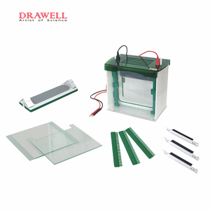 Máy Phân Tích Điện Di Mini-gel Cho Điện Di <span class=keywords><strong>DNA</strong></span> Và RNA - Product Image 3