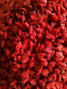 Yeni ürün taze organik kurutulmuş kurt üzümü toptan fiyat sertifikası ile çin organik kırmızı Wolfberry - Product Image 4