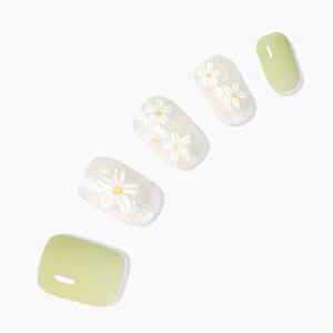 Dessing Diva fioritura (rotondo regolare) - Product Image 1