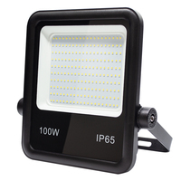 Projecteur LED de haute qualité avec boîtier en aluminium, étanche IP65, 100W AC120-270V, pour terrains de sport, avec capteur de mouvement en option