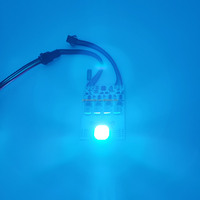DC12V 12W UCS2904 RGBW LED Pixel Module Lumière Adressable RGBW RGBWW Smart IC Module Haute Puissance Point pour DIY Éclairage Boîte Signes