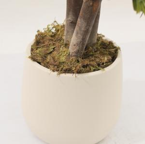 Bonsaï de cyprès artificiel JWT4085, décor paysager très réaliste, plastique durable, haute qualité, écologique, pour la maison <span class=keywords><strong>et</strong></span> le <span class=keywords><strong>jardin</strong></span>, idéal pour Pâques - Product Image 4