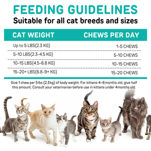 Worafy OEM Factory Exports - Golosinas Masticables para Gatos con Prevención de <span class=keywords><strong>Pulgas</strong></span> y Garrapatas, 100 g, Sabor a Pollo, Alimento Seco para Gatos de Todas las Edades - Product Image 6