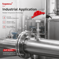 Sensor Suhu PT100 Digunakan untuk Transmitter Suhu 4-20mA