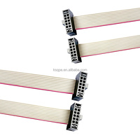 Câble plat IDC personnalisé de 2,54 mm avec connecteur FC 6/8/10/14/16/20/26/30/34/40P, double rangée, prise IDE, câble femelle FC 40 broches