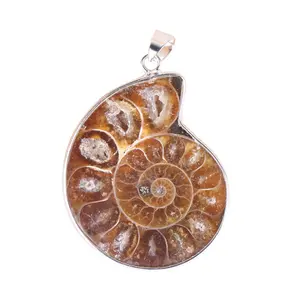 Liontin Batu Fosil Ammonite Acak Alami Kristal Cabochon Liontin Batu Kulit Kerang Kerang