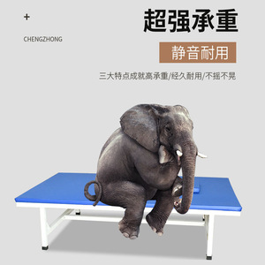 Gan Gang Medical Rehabilitation Massage <b>Bed</b> 190x120x48cm Thick <b>Sponge</b> Top Stainless Steel Frame for Treatment and Therapy - Product Image 3