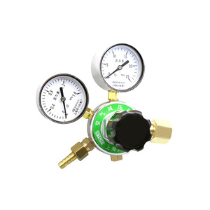 เครื่องปรับแรงดันก๊าซเทียนชวน รุ่น YQB 0-1.6 Mpa แบบสองเกจ สำหรับออกซิเจนและอากาศ ใช้ในห้องปฏิบัติการ - Product Image 1
