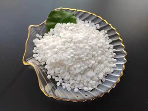 Fertilizante <span class=keywords><strong>de</strong></span> <span class=keywords><strong>nitrato</strong></span> <span class=keywords><strong>de</strong></span> <span class=keywords><strong>magnesio</strong></span> y calcio <span class=keywords><strong>de</strong></span> alta calidad - Product Image 3