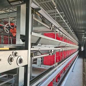 Cage automatique complète de poulet de couche de batterie d'équipement de ferme de volaille de poule avec le système de ponte - Product Image 2