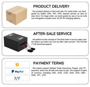 Lithium <b>Battery</b> Pack with BMS 24V <b>48V</b> 80V Replacement Power System - Product Image 6