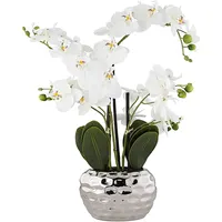 Orquídea de seda branca/23h em resina de prata