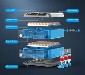 온도 제어 가금류 인큐베이터 브로더 5 층 500 계란 자동 다기능 이중 전기 난방 - Product Image 6
