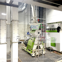 Usine de fabrication d'aliments pour poissons RICHI - Extrudeuse de granulés d'aliments pour poissons flottants à haute efficacité