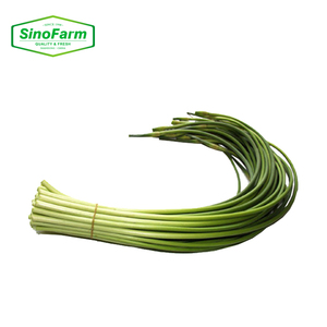 Nouvelle récolte de légumes chinois - Tiges d'<span class=keywords><strong>ail</strong></span> frais / Tiges de pousses d'<span class=keywords><strong>ail</strong></span> vertes - Product Image 2
