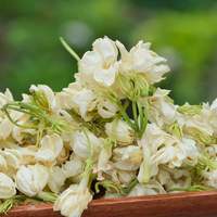 Thé au jasmin authentique, tisane d'origine chinoise, aide à nettoyer les intestins, à détoxifier, à aplatir l'abdomen et à réduire la graisse
