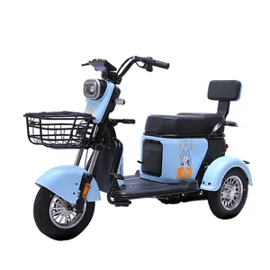 scooter for 3 wheel electric tricycle adult in israel 3 wheel cargo adult electric motorcycle thailand chinese tricycle trike