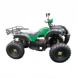 Nuevo Go Kart Eléctrico 2025, Gran Oferta, 48V 5000W, Resistente, para Derrapes, para Adultos, Todoterreno, para Paseos en Lugares Turísticos, Alquiler - Product Image 2