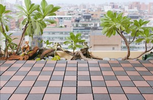 Trung Quốc Nhà cung cấp tùy chỉnh 30x30cm DIY không thấm nước <span class=keywords><strong>WPC</strong></span> <span class=keywords><strong>decking</strong></span> gạch ngoài trời bằng Gỗ nhựa composite Interlock <span class=keywords><strong>decking</strong></span> sàn tấm - Product Image 3