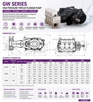 Pompe à piston haute pression Brilliant GW50 Series 125 bars, moteur triphasé en fer OEM, système de jet d'eau industriel 359 L/min, à bride
