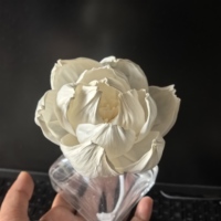 Diffuseur de parfum à fleurs en bois de sola avec corde en coton, fleurs artisanales, recharge d'huile essentielle de 8 cm de diamètre
