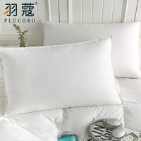 Oreiller en plume de canard pour l'hôtel, coussin médical, vente en gros, économique