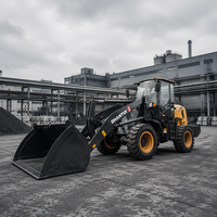 Gebrauchter Frontlader, gebrauchter Radlader für Sand, Kies und Hofarbeiten, Großhandel, Direktexport, Schwerlastgerät