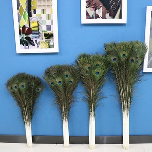 Đẹp 32-36 Inch (80-90 Cm) Màu Sắc Tự Nhiên Con Công Đuôi Lông Chất Lượng Cao Thân Thiện Với Môi Dài Mắt Lớn Mô Hình Nguyên Bán Giá Rẻ - Product Image 4