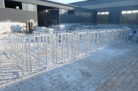 Cage de geste personnalisée pour cochon, équipement pour élevage de cochon, vente en gros