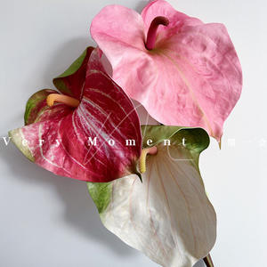 Y-H007 fiori Anthurium singolo ramo moderno gigante verde artificiale decorazione di nozze all'ingrosso fiori e piante - Product Image 3