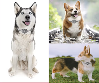 Traceur GPS 4G pour chiens et chats, étanche IP67, localisateur en temps réel avec application gratuite, moniteur d'activité et collier anti-perte