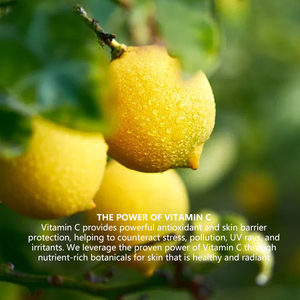 Özel etiket nazikçe peeling vücut fırçalayın C vitamini Ester parlatma ve radyant görünümlü ten cilası - Product Image 4