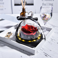 Forever Flowers Real Eternal Roses-Cadeau de fleurs préservées de gloire avec LED pour l'anniversaire de la Saint-Valentin