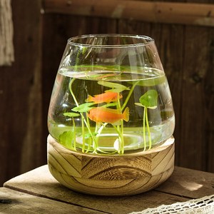 <span class=keywords><strong>Vase</strong></span> japonais plante hydroponique <span class=keywords><strong>bouteille</strong></span> en verre <span class=keywords><strong>vert</strong></span> rose pot de fleurs grand diamètre <span class=keywords><strong>vase</strong></span> en verre bureau chinois aquarium écologique - Product Image 4